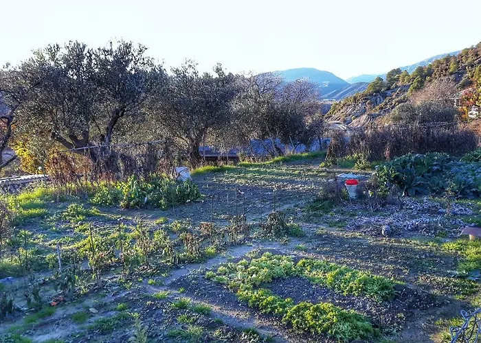 Apartamento Banastónera Usana