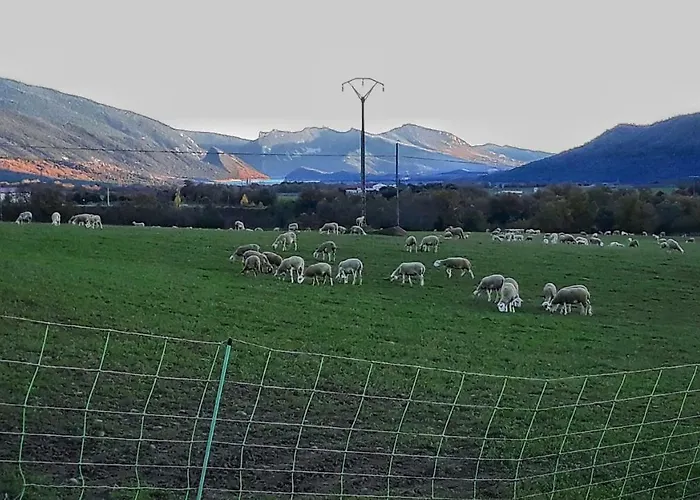 Apartamento Banastónera